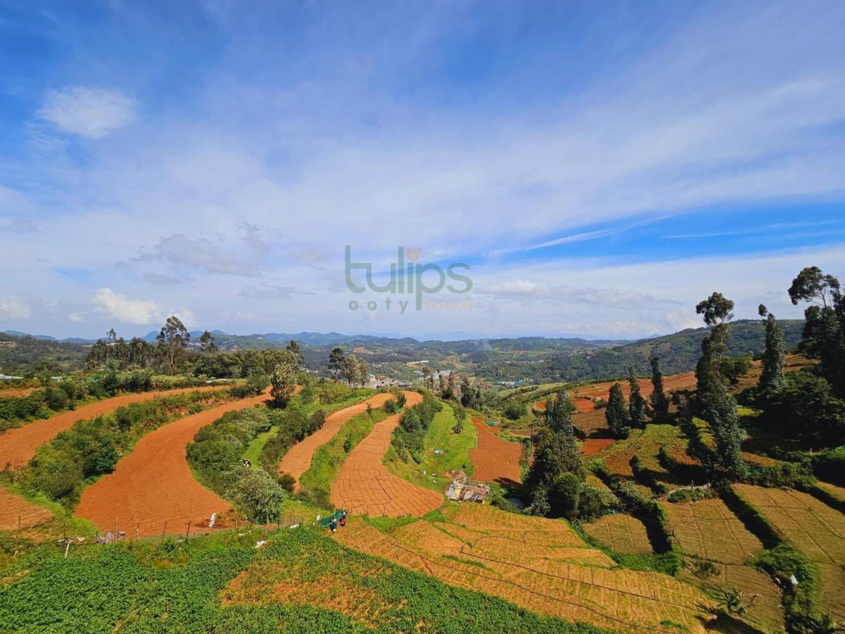 Tulips Village Resorts อูตี ภายนอก รูปภาพ